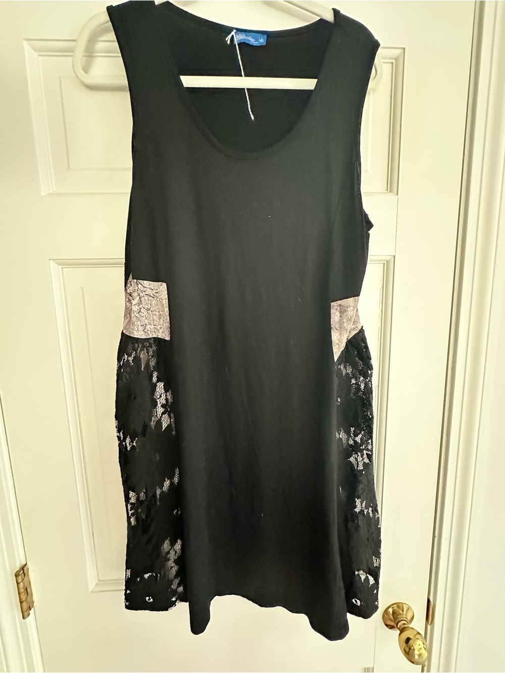 Black Sleeveless A-Line Dress with Lace Side Panels.